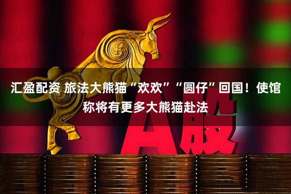 汇盈配资 旅法大熊猫“欢欢”“圆仔”回国！使馆称将有更多大熊猫赴法